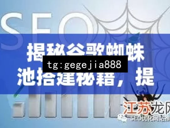 揭秘谷歌蜘蛛池搭建秘籍，提升网站SEO效果的必备工具！，揭秘谷歌蜘蛛池搭建秘籍