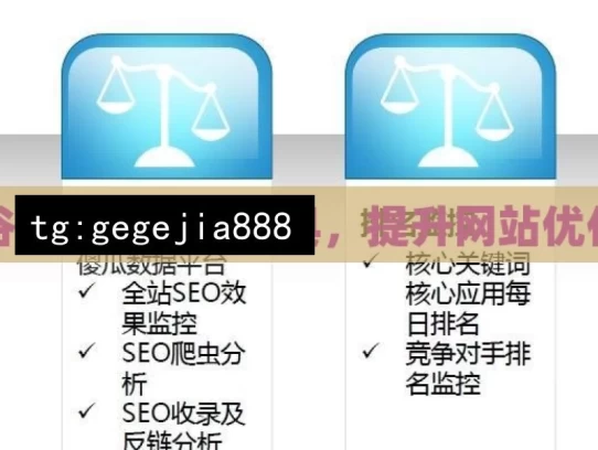 掌握谷歌SEO评分工具，提升网站优化效果，掌握谷歌SEO评分工具 优化网站效果