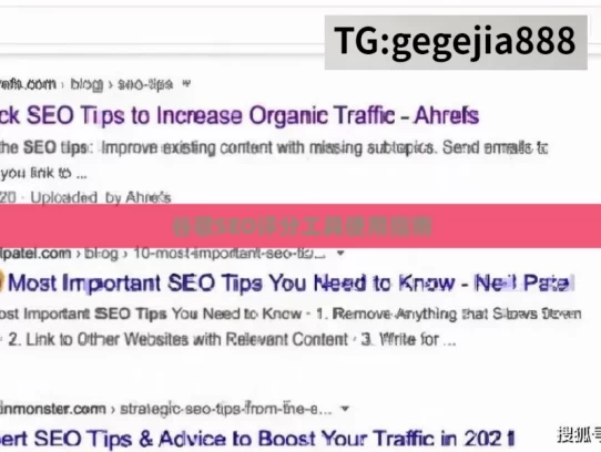 谷歌SEO评分工具使用指南，谷歌SEO评分工具的使用指南解析