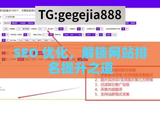 SEO 优化，解锁网站排名提升之道