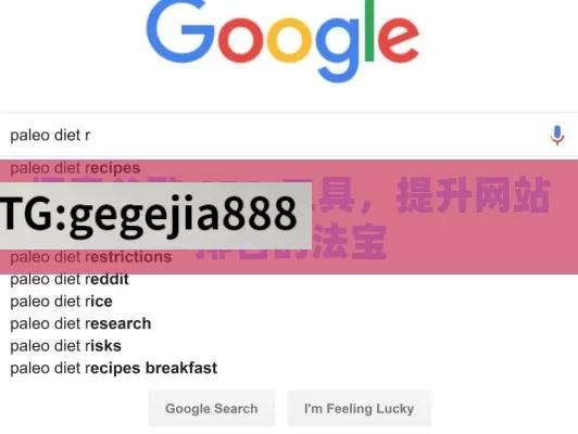 探索谷歌 SEO 工具，提升网站排名的法宝