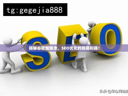 揭秘谷歌蜘蛛池，SEO优化的隐藏利器！，揭秘谷歌蜘蛛池，SEO优化神器