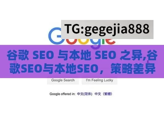 谷歌 SEO 与本地 SEO 之异,谷歌SEO与本地SEO，策略差异解析