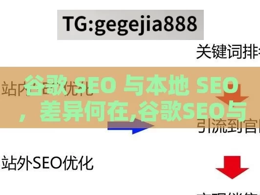 谷歌 SEO 与本地 SEO，差异何在,谷歌SEO与本地SEO，策略差异与实战指南