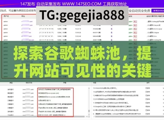 探索谷歌蜘蛛池，提升网站可见性的关键策略,谷歌蜘蛛池，提升SEO效果的神秘武器