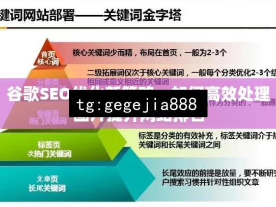 谷歌SEO优化新策略，如何高效处理图片提升网站排名，谷歌 SEO 优化，图片处理提升排名策略