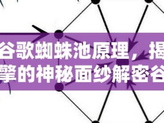 探秘谷歌蜘蛛池原理，揭示搜索引擎的神秘面纱解密谷歌蜘蛛池，它如何改变SEO格局？