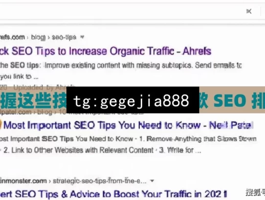 掌握这些技巧，轻松提升谷歌 SEO 排名，掌握技巧提升谷歌SEO排名