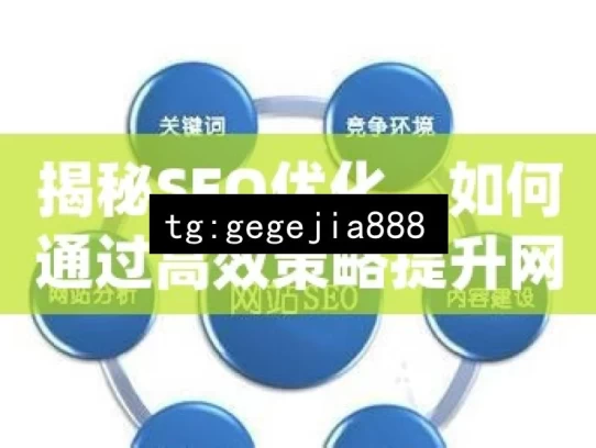 揭秘SEO优化，如何通过高效策略提升网站排名和流量？，揭秘 SEO 优化策略