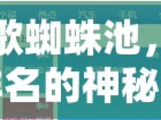 探秘谷歌蜘蛛池，提升网站排名的神秘武器，探秘谷歌蜘蛛池，网站排名提升之秘