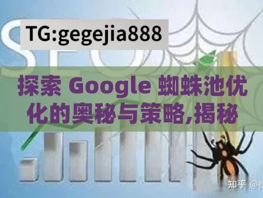 探索 Google 蜘蛛池优化的奥秘与策略,揭秘Google蜘蛛池优化，提升网站排名的秘密武器