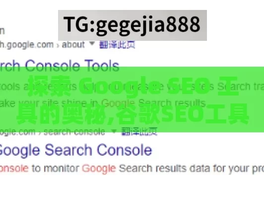 探索 Google SEO 工具的奥秘,谷歌SEO工具全解析