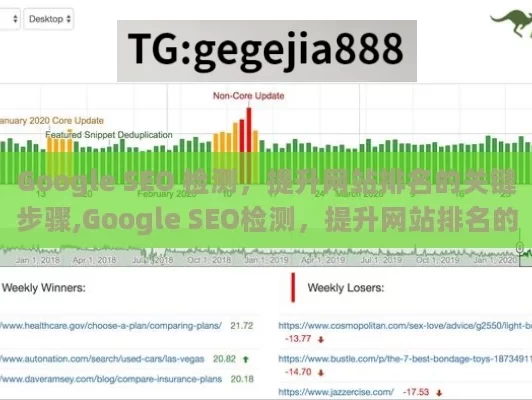 Google SEO 检测，提升网站排名的关键步骤,Google SEO检测，提升网站排名的关键步骤