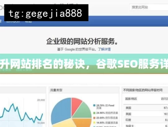 提升网站排名的秘诀，谷歌SEO服务详解，提升网站排名的谷歌 SEO 服务解析