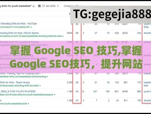 掌握 Google SEO 技巧,掌握Google SEO技巧，提升网站排名