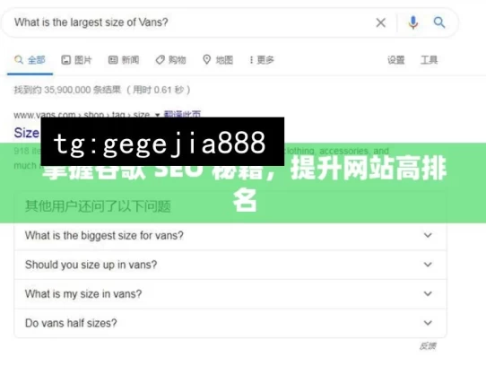 掌握谷歌 SEO 秘籍，提升网站高排名，掌握谷歌 SEO 秘籍提升排名