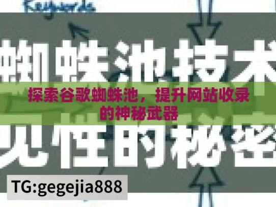 探索谷歌蜘蛛池，提升网站收录的神秘武器