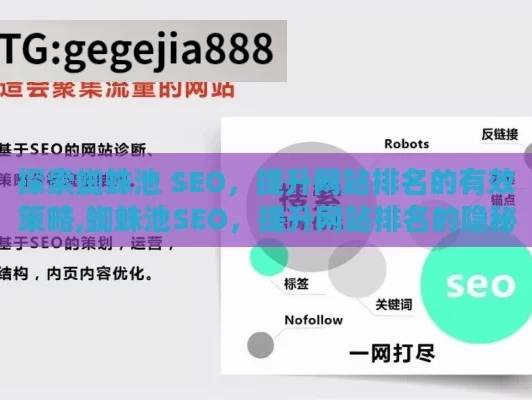 探索蜘蛛池 SEO，提升网站排名的有效策略,蜘蛛池SEO，提升网站排名的隐秘武器