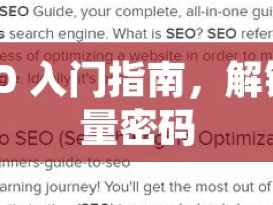 谷歌 SEO 入门指南，解锁网站流量密码