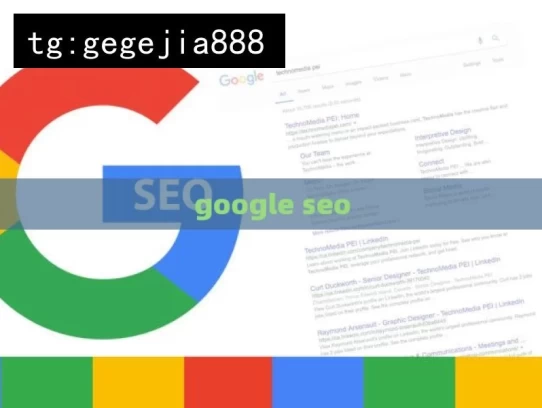 google seo，探索 Google SEO 的奥秘