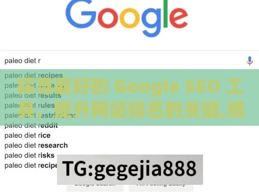 探寻最好的 Google SEO 工具，提升网站排名的关键,揭秘最佳Google SEO工具
