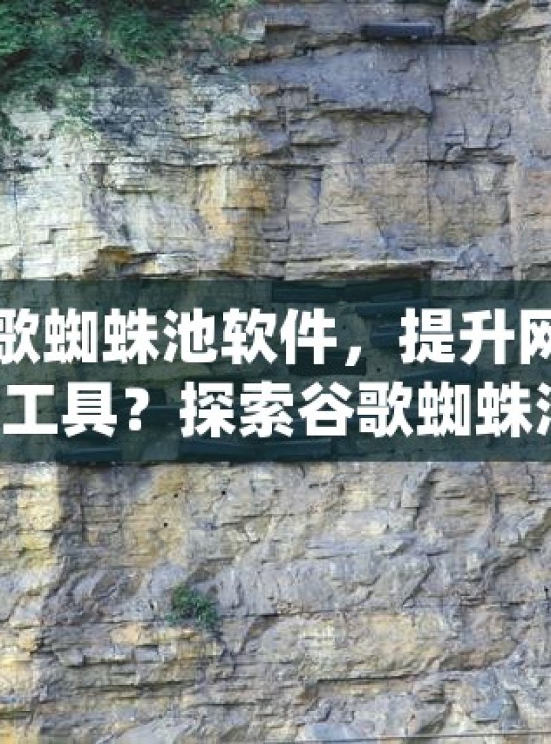 探索谷歌蜘蛛池软件，提升网站排名的神秘工具？探索谷歌蜘蛛池软件，提升网站SEO效果的利器