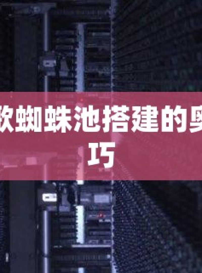 探索谷歌蜘蛛池搭建的奥秘与技巧