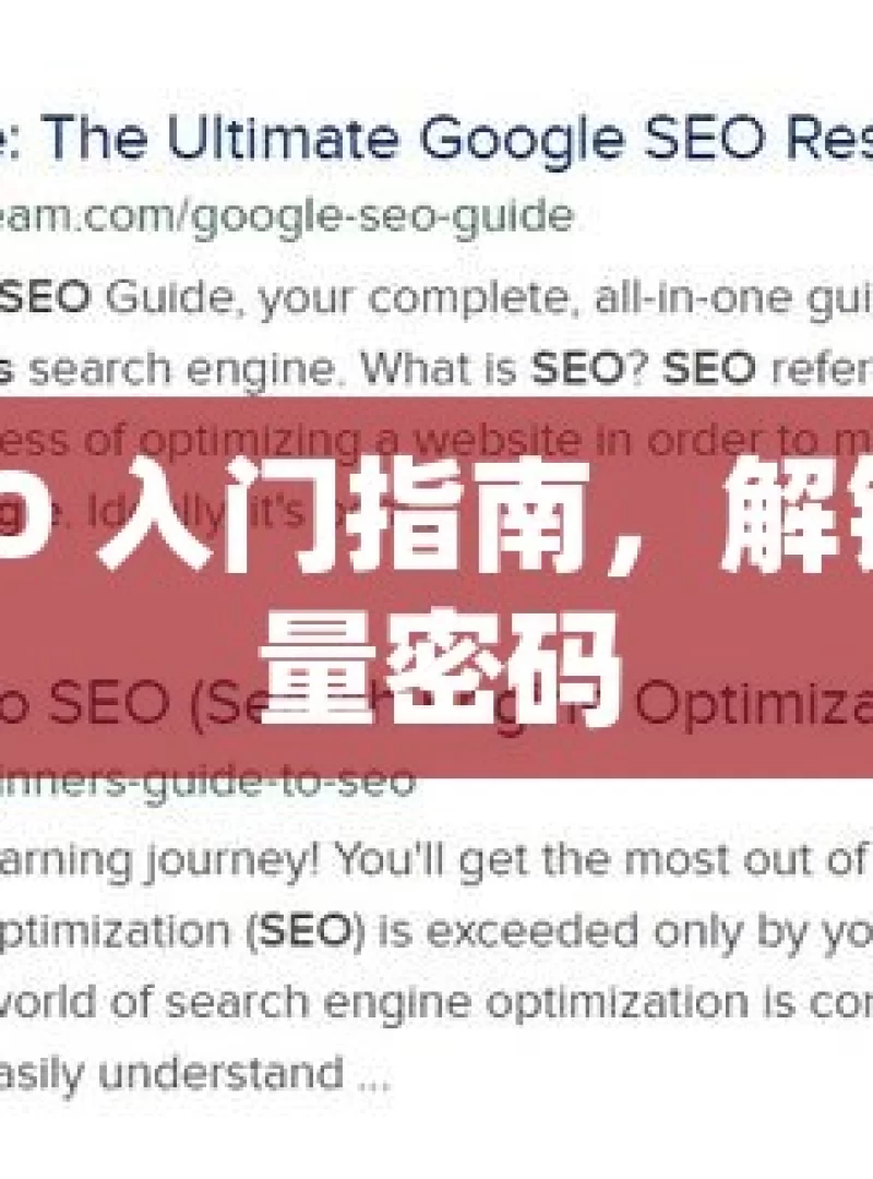 谷歌 SEO 入门指南，解锁网站流量密码