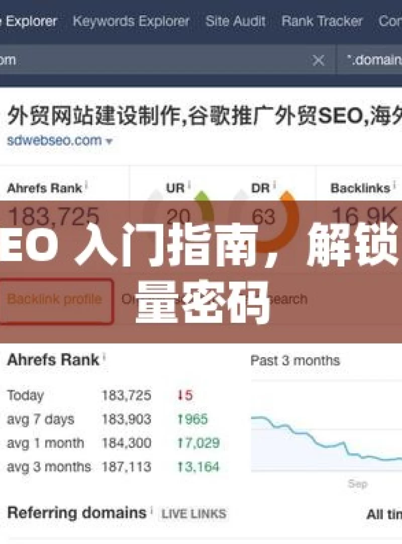 谷歌 SEO 入门指南，解锁网站流量密码