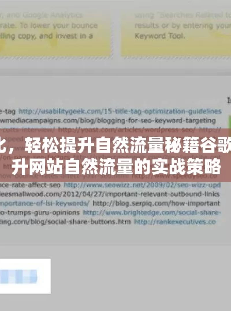 掌握谷歌 SEO 优化，轻松提升自然流量秘籍谷歌SEO优化秘籍，提升网站自然流量的实战策略