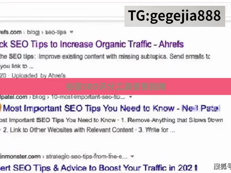 谷歌SEO评分工具使用指南