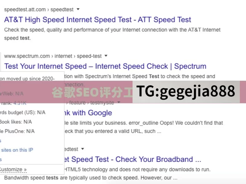 谷歌SEO评分工具使用指南