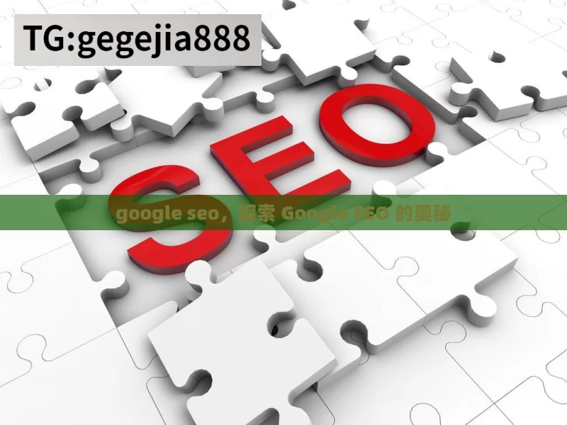 google seo，探索 Google SEO 的奥秘