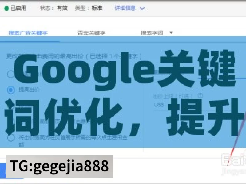 Google关键词优化，提升网站排名的 Google 关键词优化