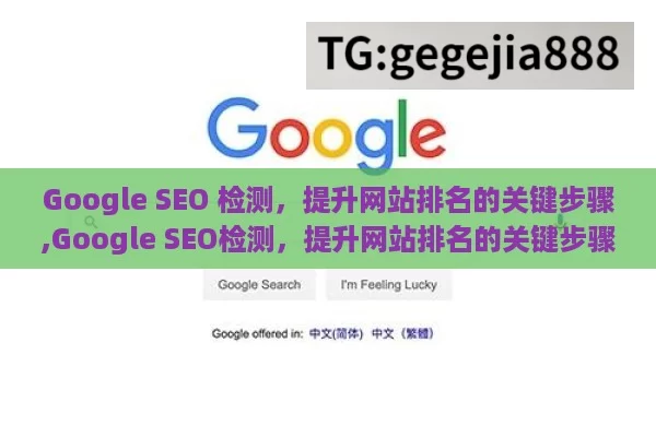 Google SEO 检测，提升网站排名的关键步骤,Google SEO检测，提升网站排名的关键步骤