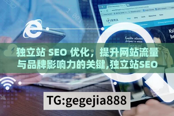 独立站 SEO 优化，提升网站流量与品牌影响力的关键,独立站SEO优化，提升网站排名的秘诀