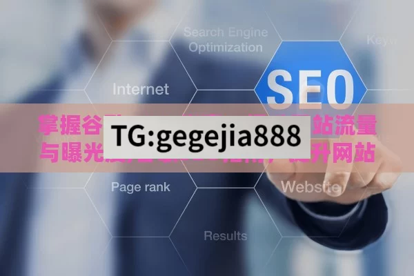 掌握谷歌 SEO 指南，提升网站流量与曝光度,谷歌SEO指南，提升网站排名的黄金法则