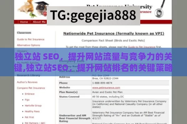 独立站 SEO，提升网站流量与竞争力的关键,独立站SEO，提升网站排名的关键策略