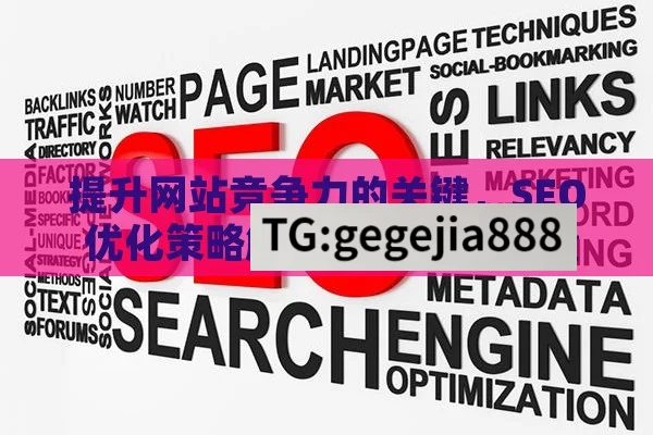 提升网站竞争力的关键，SEO 优化策略解析,提升网站流量的关键，网站SEO优化策略