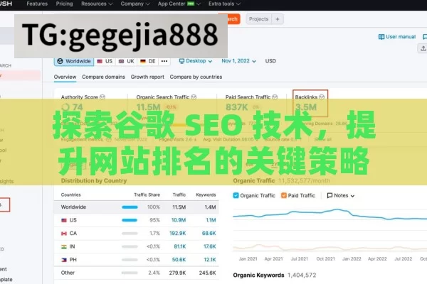 探索谷歌 SEO 技术，提升网站排名的关键策略,掌握谷歌SEO技术，提升网站排名的关键