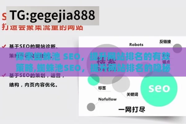探索蜘蛛池 SEO，提升网站排名的有效策略,蜘蛛池SEO，提升网站排名的隐秘武器