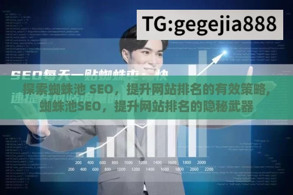 探索蜘蛛池 SEO，提升网站排名的有效策略,蜘蛛池SEO，提升网站排名的隐秘武器