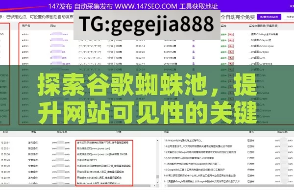 探索谷歌蜘蛛池，提升网站可见性的关键策略,谷歌蜘蛛池，提升SEO效果的神秘武器