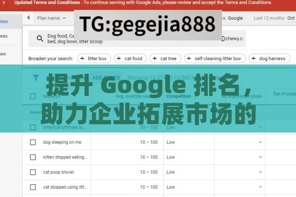 提升 Google 排名，助力企业拓展市场的关键策略,Google 排名，解锁在线成功的关键