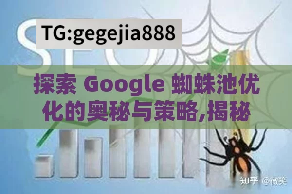 探索 Google 蜘蛛池优化的奥秘与策略,揭秘Google蜘蛛池优化，提升网站排名的秘密武器