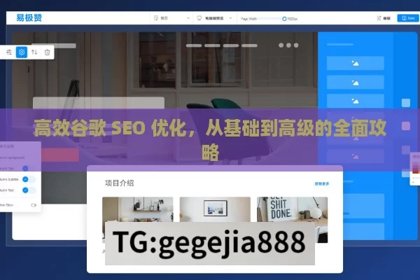 高效谷歌 SEO 优化，从基础到高级的全面攻略