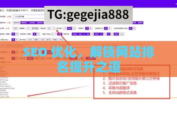 SEO 优化，解锁网站排名提升之道