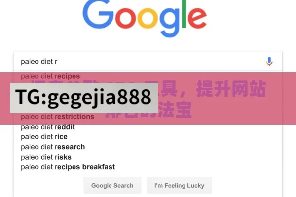 探索谷歌 SEO 工具，提升网站排名的法宝