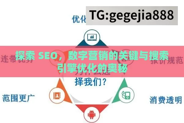 探索 SEO，数字营销的关键与搜索引擎优化的奥秘